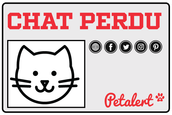 Pet Alert broadcasts your lost cat review
