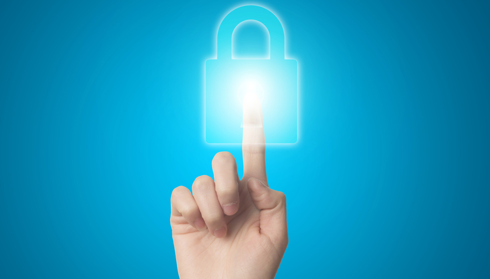 Secure interface and data protection
